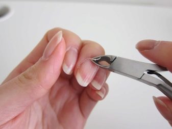 Маникюр без дизайна (50 фото): плюсы и минусы обычного маникюра для ногтей