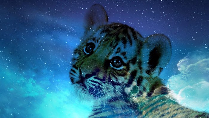 Маникюр на новый 2022 год голубой водяной тигр (48 фото)